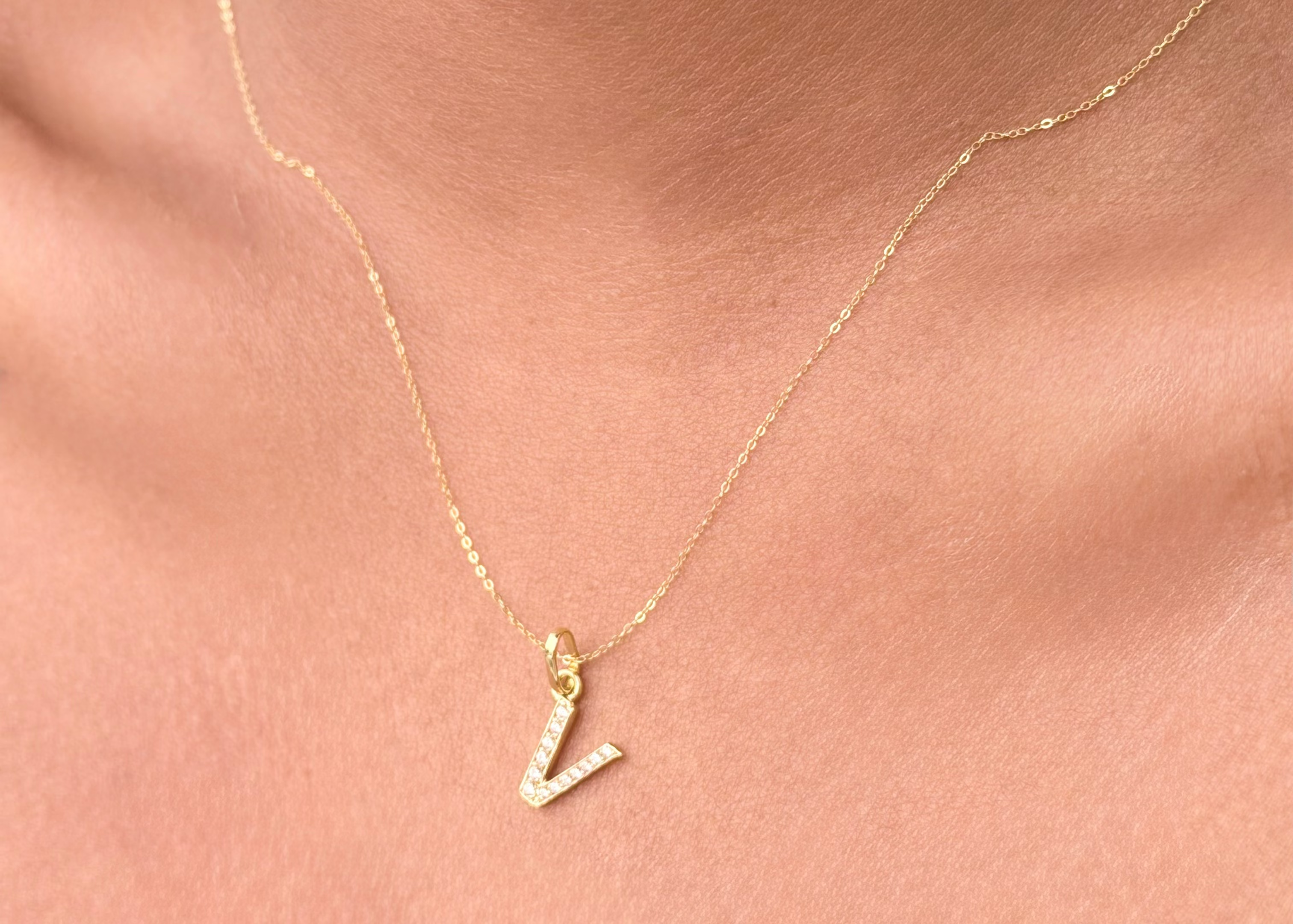 Limited Holiday Collection